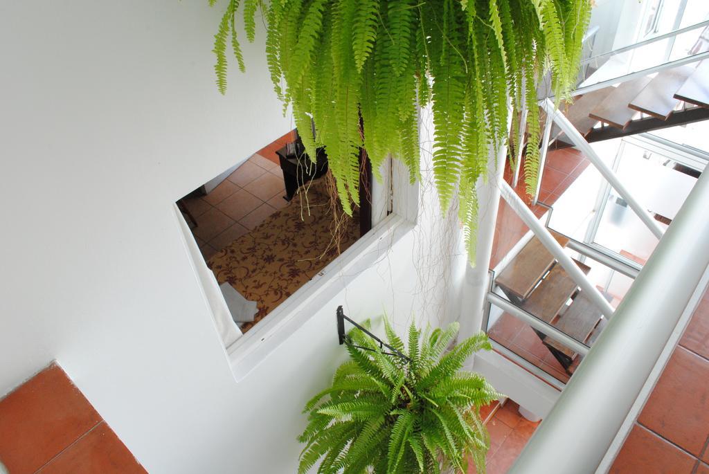 Hotel Romi โกโลเนีย เดล ซากราเมนโต ภายนอก รูปภาพ